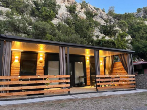 Mobile Homes 